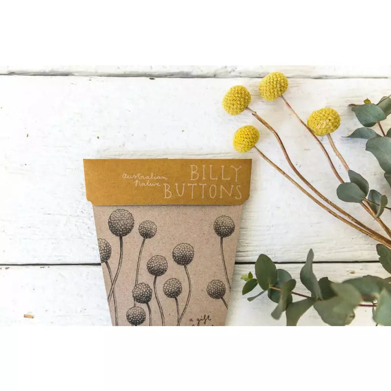 Billy Buttons Gift Of Seeds